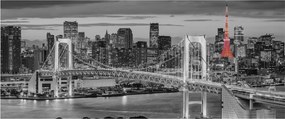 Kép - Nagyváros piros toronnyal (120x50 cm)