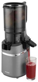 Concept LO7120 - Lassú facsaró JUICY 250W/230V szürke