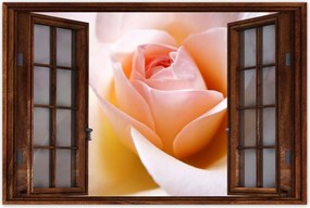 Poszterek 90x60 Finom rózsa