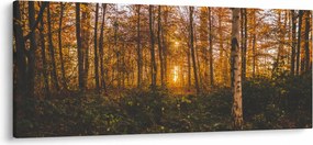 Egy őszi erdő képe (120x50 cm)