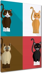 Vászonkép 80x120 Cica