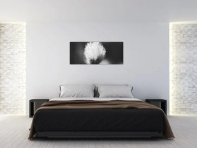 Kép - Fekete-fehér pamutfű (120x50 cm)