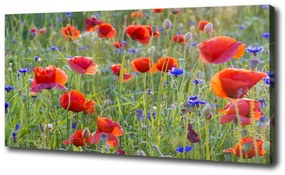 Egyedi vászonkép Field virágok oc-65958845