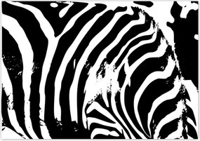 Poszterek 100x70 Zebra csíkos kisállat