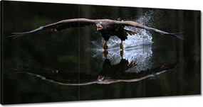 Vászonkép 180x90 Madarak