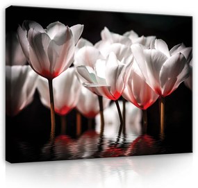 Vászonkép, Tulipánok, 100x75 cm méretben