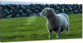 Vászonkép 120x60 Juh legeltetés Bárányok