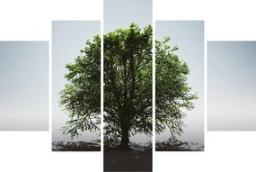 Kép - Magányos fa (150x105 cm)