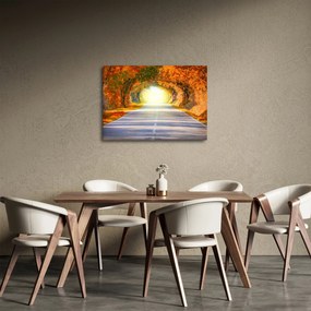Kép - kapu a fák koronájából (70x50 cm)