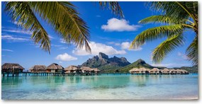 Pálmafás konyhai panel Bora Bora 140x70 Ragasztó