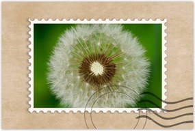 Poszterek 90x60 Pitypang Virág Virágok