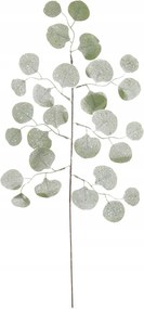 Dekorációs ág Eukaliptusz csiszolt 72 cm 146467 Art-Pol