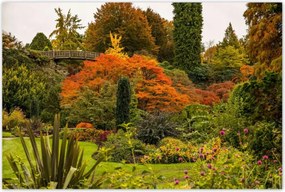 Poszterek 120x80 Híd Építészet Tájkép