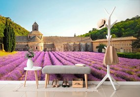 Fotótapéta Provence levendulamezőkkel