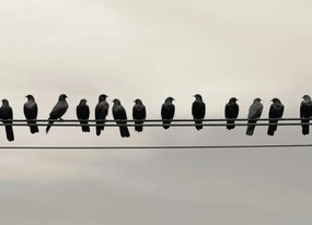 Poszter 18x13cm Konferencia a Magasságban