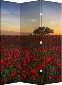 Paraván - Pipacsos rét (126x170 cm)
