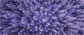 Havas fák képe (120x50 cm)