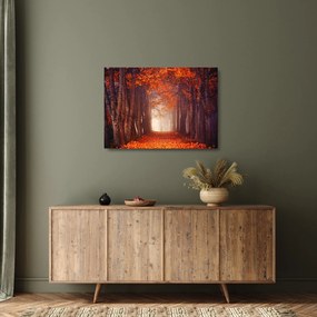 Kép - őszi erdő (üvegen) (70x50 cm)