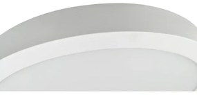 LED Mennyezeti lámpa FENIX LED/32W/230V 3800K átm. 40 cm hó fehér