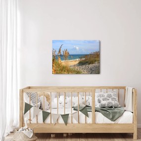 Kép - Tengerpart (70x50 cm)