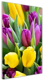 Egyedi üvegkép Színes tulipán osv-106061917