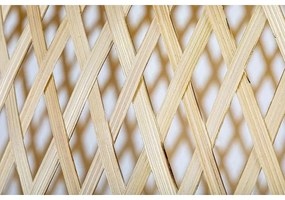 Rabalux 72025 - Csillár zsinóron RATTAN 1xE27/25W/230V rattan