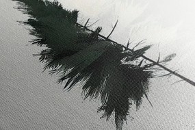Kép minimalista tűlevelű fa