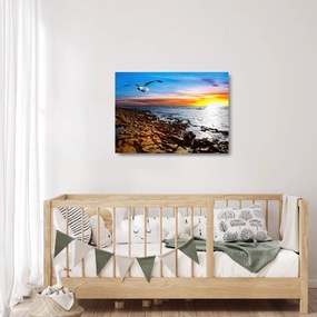 Üveg kép - Sirály repül a tengerpart felett (70x50 cm)