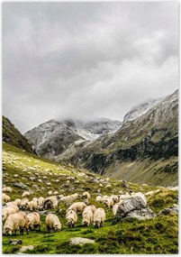 Poszterek 70x100 Juh legeltetés Bárányok Juhok