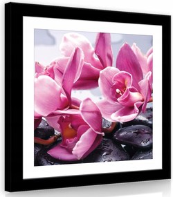 Vászonkép 80x80 Orchidea rózsaszín kövek cseppek víz spa pihenés természet virágok