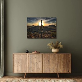 Kép - kaktuszok a napon (üvegen) (70x50 cm)