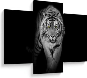 Kép - Sárga szemű tigris (90x60 cm)