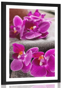 Poszter paszportuval csodás orchidea Zen kövekkel