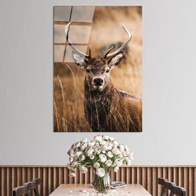 Üveg kép 70x100 cm Deer – Wallity