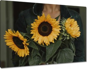 Vászonkép 100x70 Napraforgók Virágok