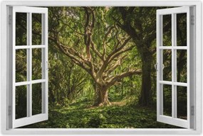 Poszterek 120x80 Fa a parkban