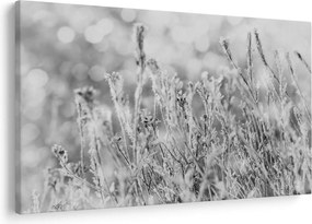 Kép - Hideg tél (90x60 cm)
