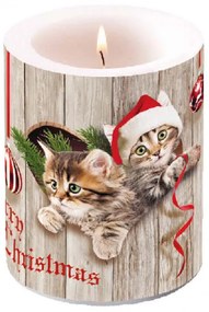 Kíváncsi cicák karácsonyi átvilágítós viasz gyertya nagy