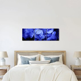 Kép - Medúza (órával) (90x30 cm)