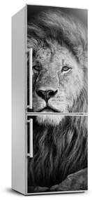 Hűtő matrica Portré egy oroszlán FridgeStick-70x190-f-102854237