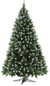 Karácsonyfa 250 cm magas fenyőfa