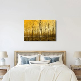 Kép - Faültetvény (90x60 cm)