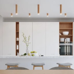 Sollux SL.1033 - Spotlámpa ZEKE 1xGU10/40W/230V 10 cm tölgy