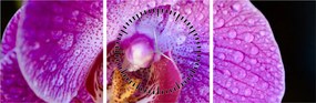 Részletes kép az orchidea virágról (órával) (90x30 cm)