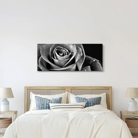 Kép - Rózsa, fekete-fehér (120x50 cm)