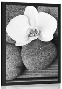 Poszter wellness kövek és orchidea fa háttéren