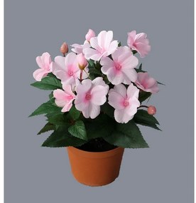 Mű ibolya virágtartóban, rózsaszín, 24 cm
