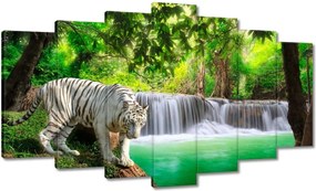Képek 140x80 Tigris a vízesésnél