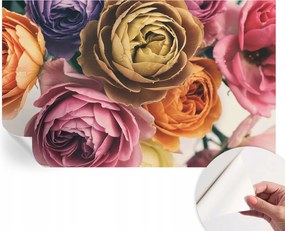 Fotótapéta Fali tapéta Hálószobába és Nappaliba Színes rózsák 416x254 cm