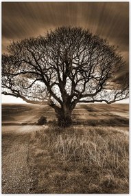 Poszterek 80x120 Tájkép varázslattal